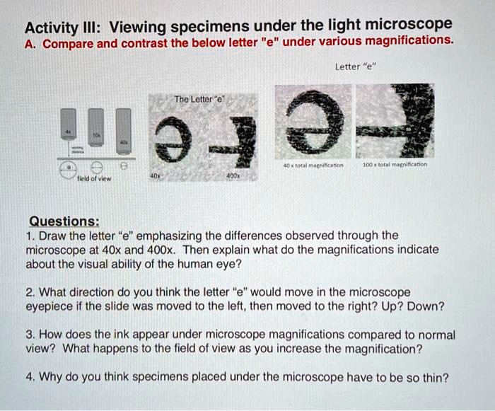 SOLVED Activity Ill Viewing specimens under the light microscope