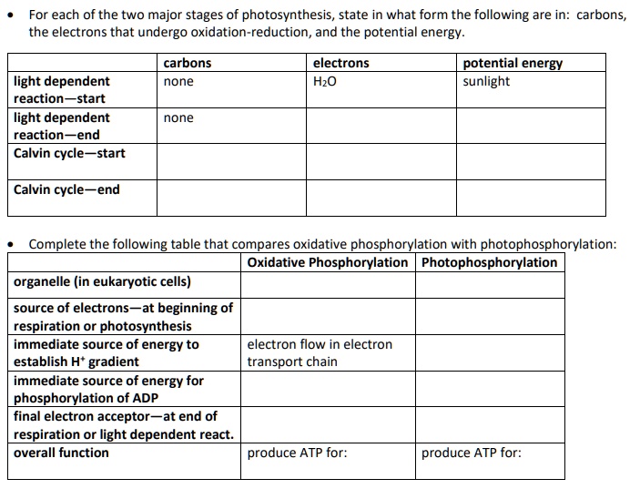 SOLVED: For each of the two major stages of photosynthesis, state in ...