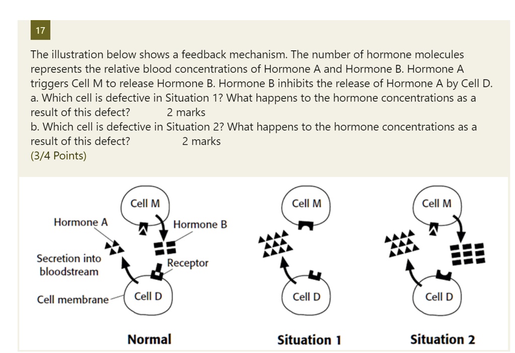 SOLVED:The illustration below shows a feedback mechanism: The number of ... Biology Diagrams