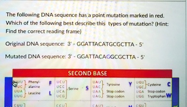 The following DNA sequence has a point mutation marked in red. Which of ...