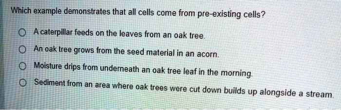SOLVED: Which example demonstrates that all cells come from pre ...