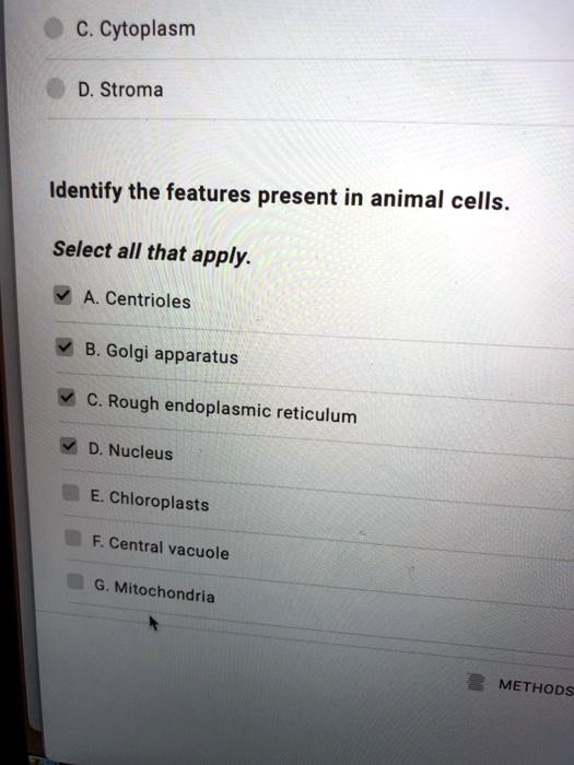 SOLVED: C. Cytoplasm D. Stroma Identify the features present in animal ...