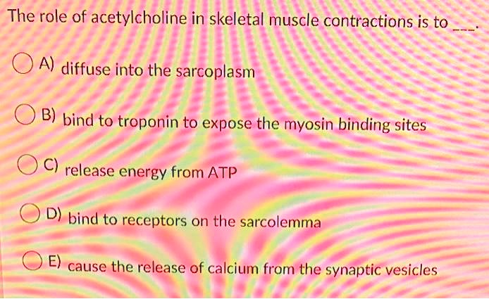 What Does Acetylcholine Do For Muscle Contraction