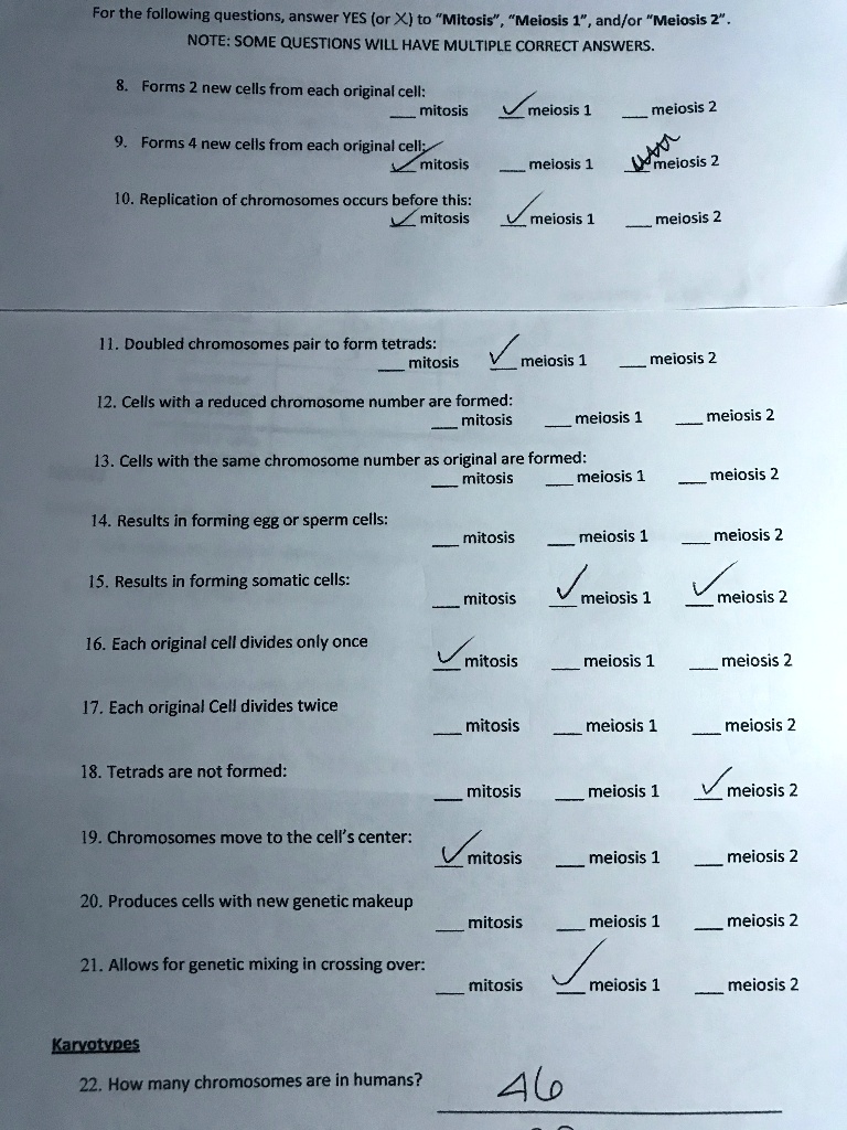 SOLVED: For the following questions, answer YES (or X) to 'Mltosis"  'Melosis 1" , and/or Meiosis 2" NOTE: SOME QUESTIONS WILL HAVE MULTIPLE  CORRECT ANSWERS. Forms new cells from each original cell: