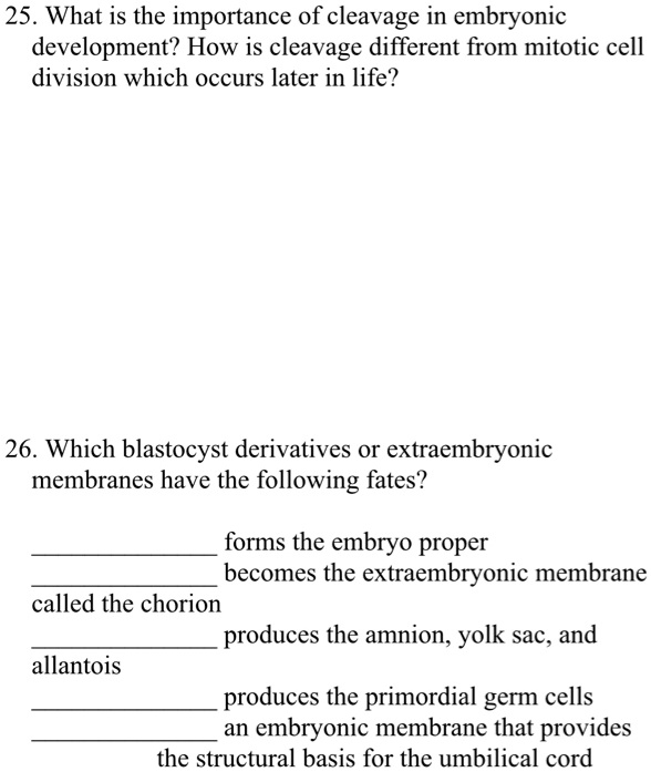 SOLVED 25. What is the importance of cleavage in embryonic development