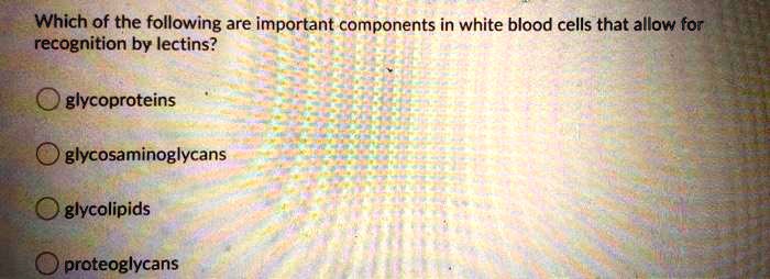 Which of the following are important components in white blood cells that allow for recognition by lectins?

glycoproteins

glycosaminoglycans

glycolipids

proteoglycans