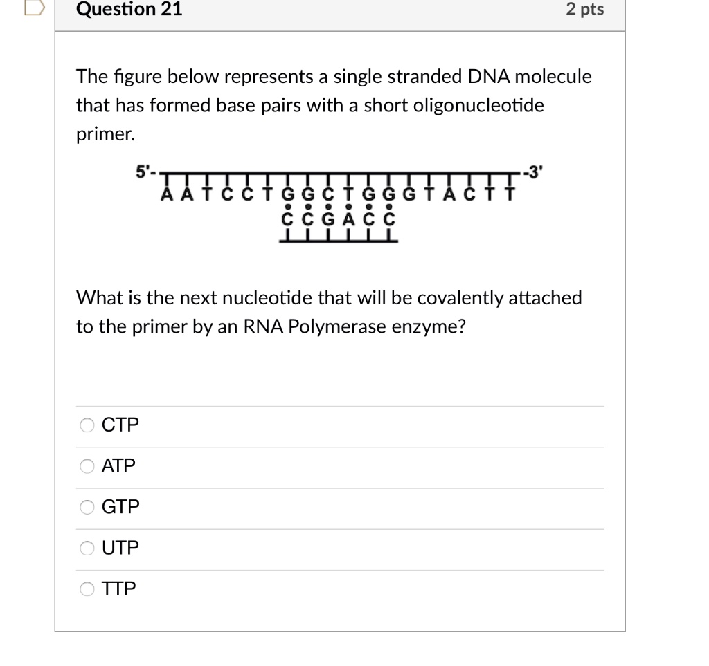 The figure below represents a single stranded DNA molecule that has formed base pairs with a short oligonucleotide primer.

5'-A A T C C T G G C T G G G T A C T T-3'
CCGACC

What is the next nucleotide that will be covalently attached to the primer by an RNA Polymerase enzyme?
CTP
ATP
GTP
UTP
TTP