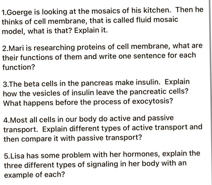 SOLVED 1. is looking at the mosaics of his kitchen. Then he