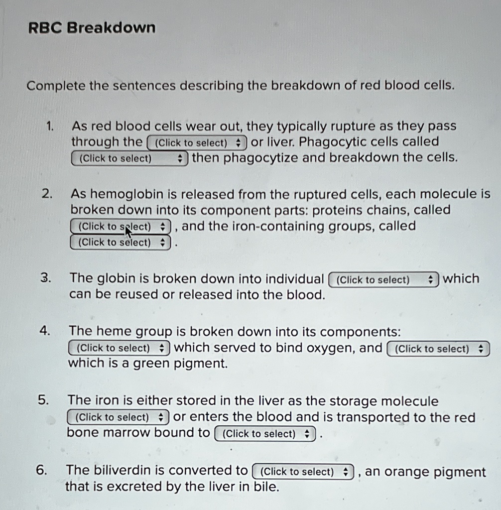RBC Breakdown Complete the sentences describing the breakdown of red ...