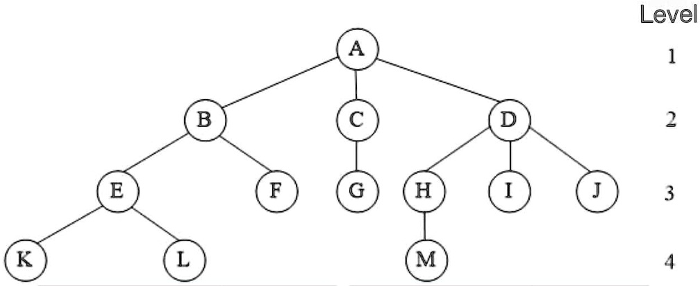 SOLVED: For a simple tree shown below, Draw a list representation of ...