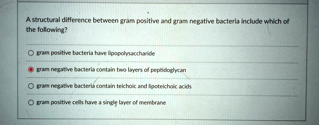 A structural difference between gram positive and gram negative ...
