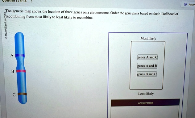 question 11 of 14 atten macmillan learning the genetic map shows the location of three genes on a chromosome order the gene pairs based on their likelihood of recombining from most likely to 20886
