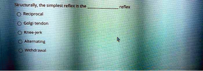 Structurally, the simplest reflex is the  reflex
Reciprocal
Golgi tendon
Knee-jerk
Alternating
Withdrawal