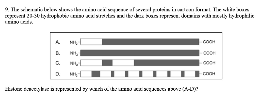 9 the schematic below shows the amino acid sequence of several proteins ...
