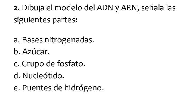 modelo de ADN de fosfato