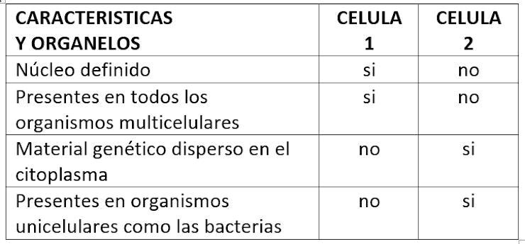 SOLVED: Algunas células se caracterizan por carecer de ciertos ...