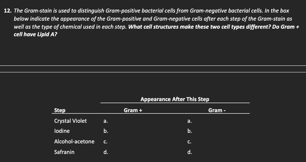 12. The Gram-stain is used to distinguish Gram-positive bacterial cells ...