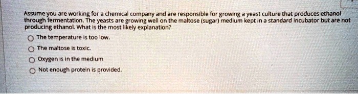 Assume you are working for a chemical company and are responsible for growing a yeast culture that produces ethanol through fermentation. The yeasts are growing well on the maltose (sugar) medium kept in a standard incubator but are not producing ethanol. What is the most likely explanation? The temperature is too low. The maltose is toxic. Oxygen is in the medium Not enough protein is provided.