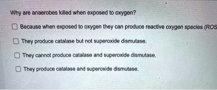 Why are anaerobes killed when exposed to oxygen?
Because when exposed to oxygen they can produce reactive oxygen species (ROS)
They produce catalase but not superoxide dismutase.
They cannot produce catalase and superoxide dismutase.
They produce catalase and superoxide dismutase.