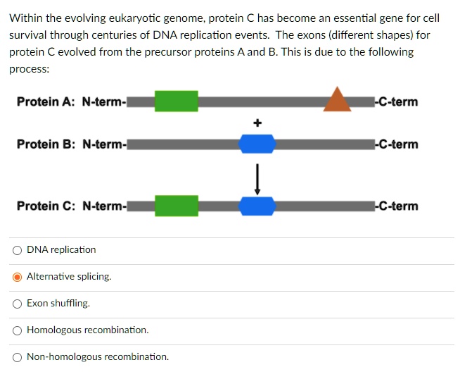 [GET ANSWER] Within the evolving eukaryotic genome, protein C has ...