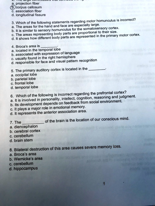SOLVED a. projection fiber b. corpus callosum c. association fiber d