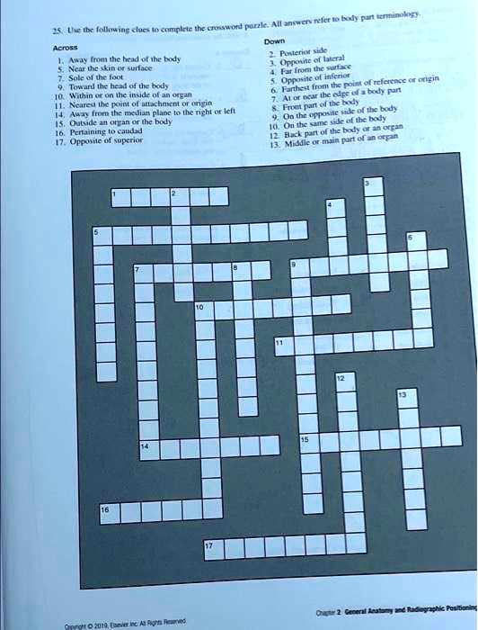 25. use the following clues to complete the crossword puzzle. all answers  refer to body part