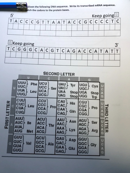 Detailed Match The Mrna Sequences To Their Dna Sequences Abstract Illustration Detailed Match The Mrna Sequences To Their Dna Sequences Abstract Illustration