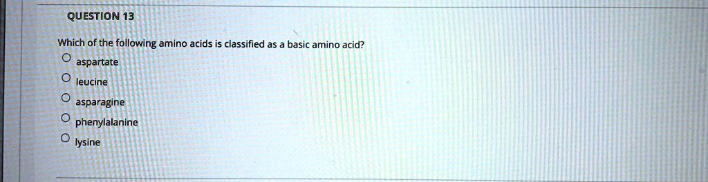 Which of the following amino acids is classified as a basic amino acid?
aspartate
leucine
asparagine
phenylalanine
lysine
