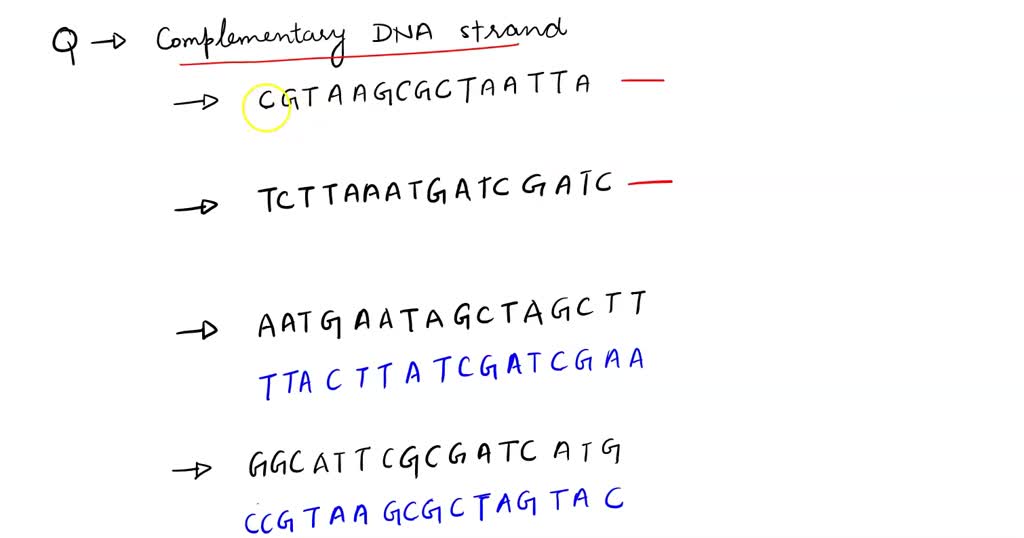 Solved Write The Complementary Dna Strand For Each Given Strand Of Dna 1 Cgtaagcgctaatta 2