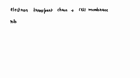inen-serobkc-becterial-cell-the-clectron-transport-chainis-kxated-in-the-tibosome-plasmid-platmuneetmbrant-chauchtomotola-69008