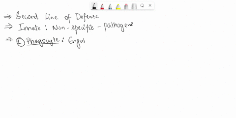 describe-the-second-line-of-defense-and-list-three-different-components-17224