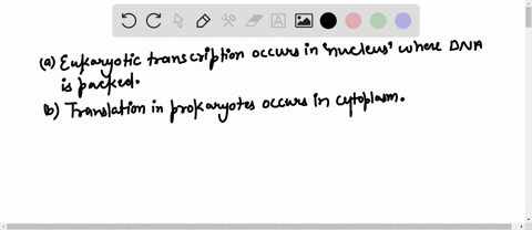 uestion-40-2-points-which-of-the-following-is-false-eukaryotic-transcription-occurs-in-the-nucleus-prokaryotic-translation-occurs-in-the-cytoplasm-eukaryotic-translation-occurs-in-the-cytopl-67171