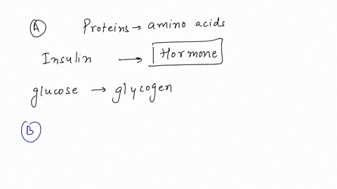 classify-each-of-the-following-proteins-according-to-its-function-a-insulin-a-protein-needed-for-g-3-41834