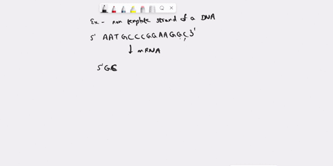 which-of-the-following-is-the-most-complete-and-accurate-description-of-mutation-a-three-adjacent-nitrogen-bases-of-mrna-that-code-for-an-amino-acid-b-the-process-of-matching-anticodon-seque-13081