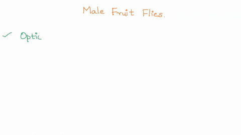 male-fruit-flies-do-an-elaborate-dance-to-attract-females-you-are-researching-the-mating-behaviors-of-two-fruit-fly-populations-with-partially-overlapping-ranges-and-have-discovered-that-hyb-44199