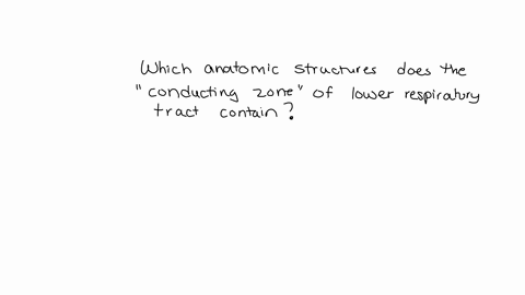 which-anatomical-structures-does-the-conducting-zoneof-the-lower-respiratory-tract-contain-eustachian-tubelarynx-and-trachea-o-nasopharynx-and-larynx-primarysecondary-and-tertiary-bronchi-an-29097