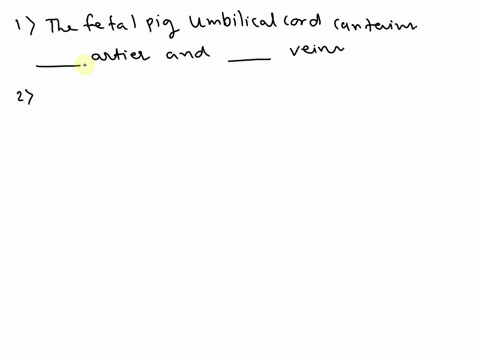 1-the-fetal-pig-umbilical-cord-contains-____-arteries-and-_____-veins-2-what-substances-pass-in-through-the-umbilical-cord-to-the-fetus-3-what-substances-pass-out-through-the-umbilical-cord-32684