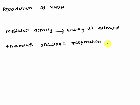 5_-during-strenuous-exercise-the-nadh-formed-in-the-glyceraldehyde-3-phosphate-dehydrogenase-reaction-in-skeletal-muscle-must-be-reoxidized-to-nadt-if-glycolysis-is-to-continue-the-most-impo-75643