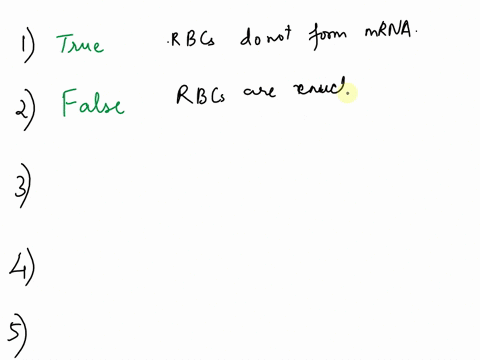 red-blood-cells-rbcs-are-full-of-hemoglobin-a-protein-that-allows-them-to-carry-oxygen-during-the-maturation-process-of-typical-mammalian-rbcs-a-precursor-cell-loses-its-nucleus-as-well-as-m-54574