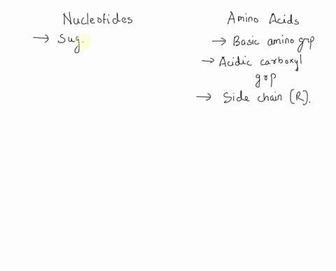 nucleic-acids-and-proteins-are-both-polymers-made-of-a-set-of-monomers-complete-the-following-analogy-_______-are-to-nucleotides-as-side-chains-are-to-amino-acids-a-ribosedeoxyribose-sugars-74275