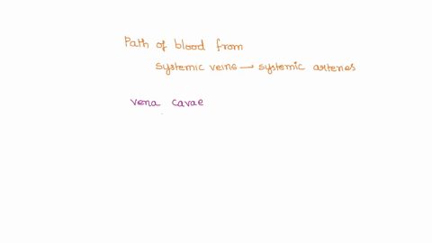 order-the-following-according-to-the-path-of-blood-from-the-systemic-veins-to-the-systemic-arteries-in-order-to-be-successful-you-need-to-start-and-end-in-the-right-places-read-the-question-26931