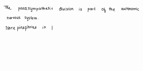 the-paresympethallc-dlvslon-i-uhc-autencmic-nervous-system-muhlple-cholz-essot-idied-vih-righte-flight-thc-neurovransmltter-norepinephrine-arlses-trom-pants-ofthc-spinal-cord_-inhiblts-diges-62562