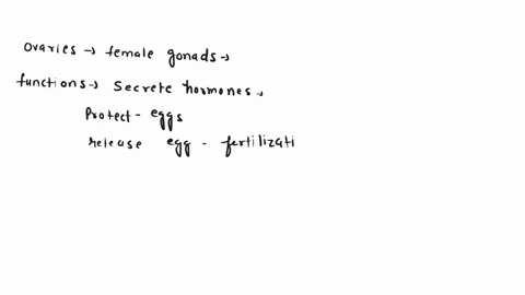 what-dual-functions-do-the-ovaries-perform-amenstruation-and-secreting-female-sex-hormones-boogenesis-and-secreting-female-sex-hormone-cmenstruatiom-and-ovulation-doogenesis-and-gametogenesi-09959