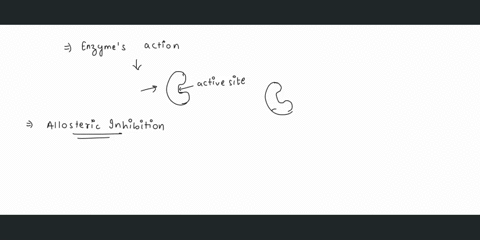 explain-how-an-inhibitor-can-disrupt-an-enzymes-action-without-binding-to-the-active-site-84484