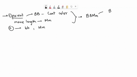 what-genotype-and-phenotype-of-the-f1-offspring-is-most-likely-to-occur-also-what-are-the-phenotypic-and-genotypic-ratios-for-the-f1-offspring-of-this-cross-in-horses-the-allele-for-a-brown-72275