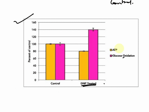 questian-tne-graph-below-shows-data-on-the-effect-of-dnp-en-mitochondrial-function-numan-myorubule-cells-umuscle-cell-progenitors-for-this-experiment-human-myouubules-were-grown-presence-dnp-90949