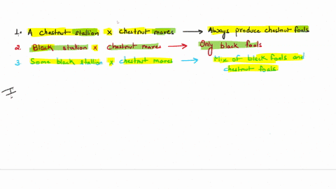 question-5-2p8-the-chestnut-vs-black-dcbatc-shortly-atter-the-rediscovery-of-mendel-s-pea-plant-experiments-biologists-began-investigating-whether-mendel-s-laws-applied-t0-other-species-as-w-97884