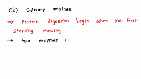 what-substance-does-the-stomach-secrete-that-helps-in-the-digestion-of-proteins-a-acid-b-salivary-amylase-c-vitamins-d-water-29292
