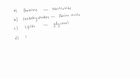 which-of-the-following-is-incorrectly-matched-a-proteins-nucleotide-b-carbohydrates-amino-acid-c-lipids-glycerol-d-dna-glucose-50844