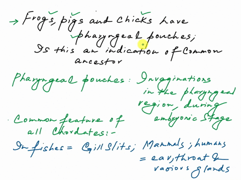 how-do-you-explain-that-frog-chick-and-pig-embryos-have-pharyngeal-pouches-does-the-presence-of-pharyngeal-pouches-in-all-chordate-early-embryos-support-the-theory-of-descent-from-a-common-a-68195